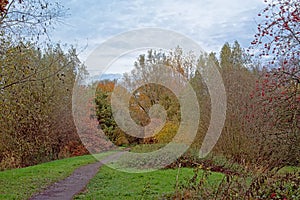 Path along autumn trees in Bourgoyen nature reserve.