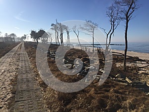 Path along Baltic coast