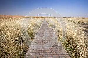 The path along the cliff reed