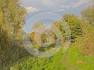 Path along a ditch with reed, grass and autumn trees in the Flemish countryside photo