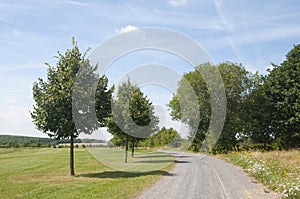 A Path Along a Golf Course in Germany