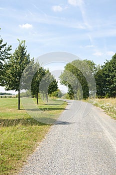 A Path Along a Golf Course in Germany