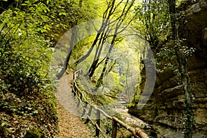 Path along the gorge
