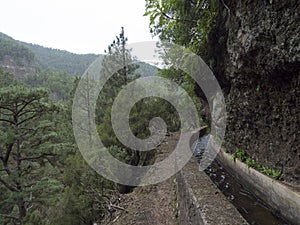 Path along levada, water duct at mysterious Laurel forest Laurisilva, lush subtropical rainforest at hiking trail Los photo