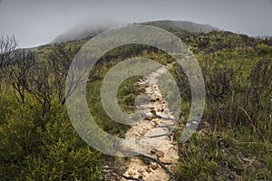 path along the mountain in the fog and mist
