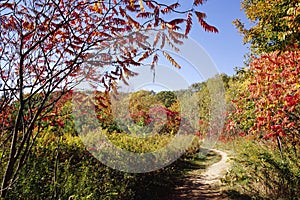Path Along the Niagara Escarpment