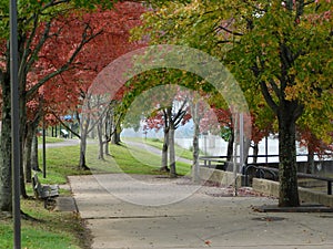 Fall Colored Path photo