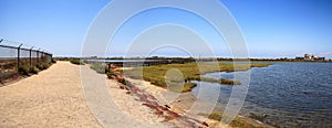 Path along the peaceful and tranquil marsh of Bolsa Chica wetlands