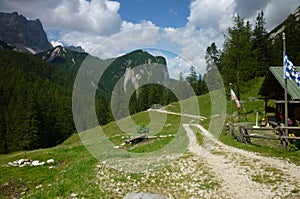 Path in Alps