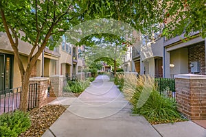 Path amid buildings lined with plants and trees