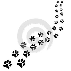 Path of animals black footprints, dog or cat path turns right on white background