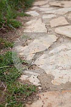 Path of Ants following each other in their way to the Colony, Dusty Pathway of Cobblestone located through the Garden, Closeup of