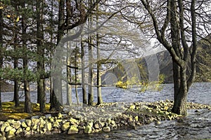 Path around Loch Muick. Cairngorms National Park, Scotland, UK.