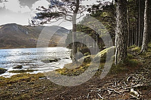 Path around Loch Muick. Cairngorms National Park, Scotland, UK.