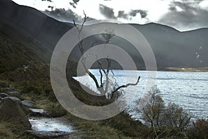 Path around Loch Muick. Cairngorms National Park, Scotland, UK.