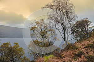 Path around Loch Muick. Cairngorms National Park, Scotland, UK.