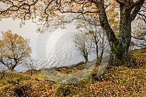 Path around Loch Muick. Cairngorms National Park, Scotland, UK.