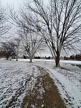 Path Around Wellesley Pond