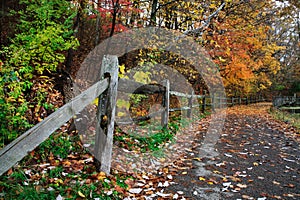 Path In Autumn