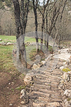 Path in the autumn forest