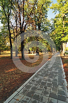 Path in Autumn Park