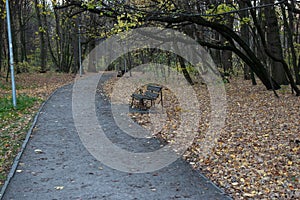 Path in an autumn park goes into the distance, with benches and lanterns next to it