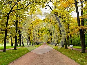 Path in the autumn Park going forward.