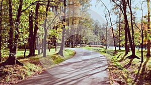 The path in the autumn park, yellow leaves on trees and on the ground, long shadows of trees, walking people, sunbeams