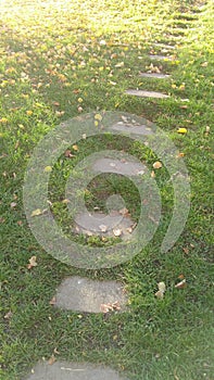 A path in autumn sun