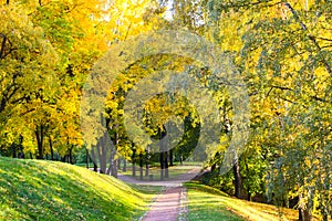 Path through an autumn wood on a bright sunny day in Tsaritsyno Park