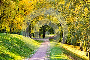Path through an autumn wood on a bright sunny day in Tsaritsyno Park