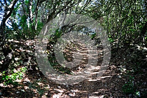 The path from Badde Tolta to Luna e Sole, in the city of Sassari