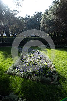 Path in Bahai Gardens on the slopes of Carmel Mountain in Haifa, Israel. Vertical image