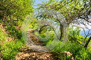 Path Between Barichara and Guane photo