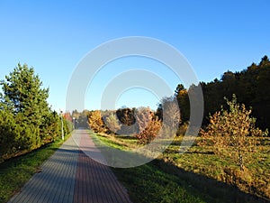 Path and beautiful autumn trees, Lithuania