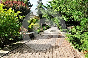 Path in a Beautiful Landscape Garden
