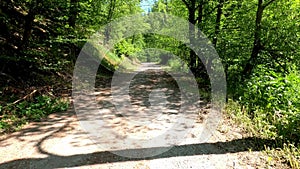 Path in a beautiful landscape to relax and unwind with deciduous trees and green meadows