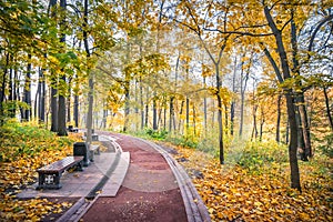 Path and bench in autumn Tsaritsyno park