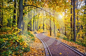 Path and bench in autumn Tsaritsyno park and the sun