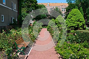 Path with a Bench at the Merrick Rose Garden in Evanston Illinois