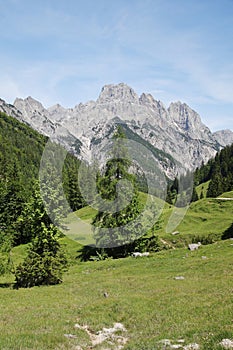 A path through Berchtesgaden National park from Ramsau to Weissbach bei Lofer