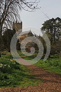 Path Through The Bishop`s Palace Gardens, Wells, Somerset,