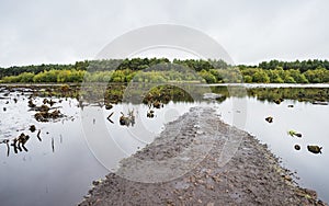 Path at Blakemere Moss