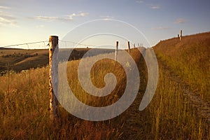 Path bordered by fence photo