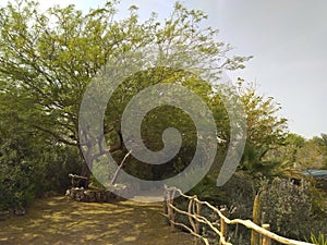 Path in the botanical garden in Eilat