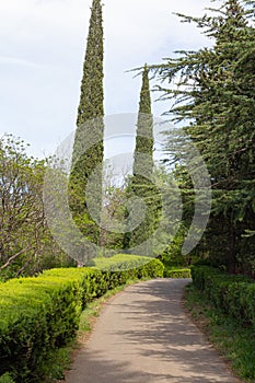 A path in the Botanical Garden of Tbilisi. Georgia country