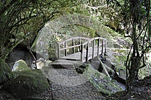 Path and Bridge Itatiaia National Park