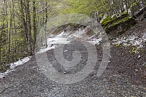 Path in Bujaruelo valley in Ordesa y Monte Perdido national park with some snow
