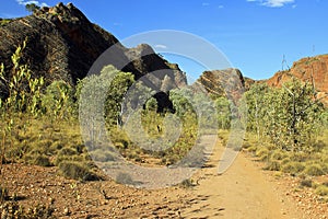 The path in Bungle Bungles (Purnululu) - Purnululu National Park