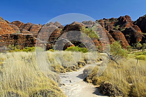 The path in Bungle Bungles (Purnululu) - Purnululu National Park